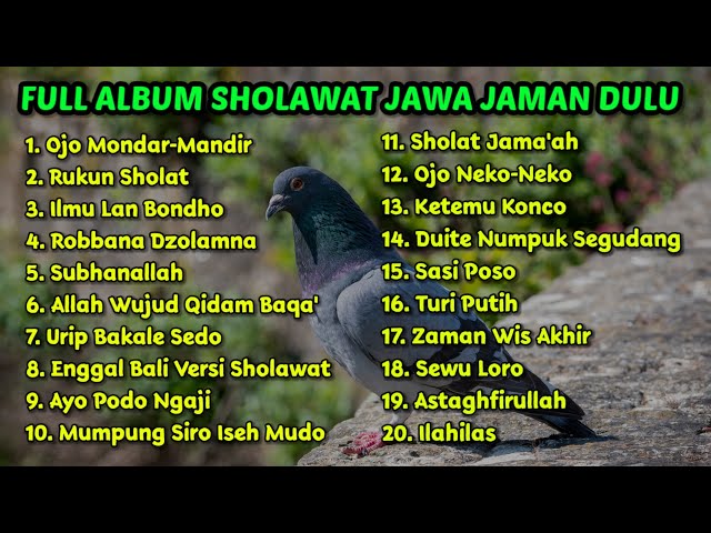 Musik Sholawat Untuk Menemani SAHUR • Sholawat Jawa • Full Album Paling Enak Di Dengar Terbaru 🎵 class=