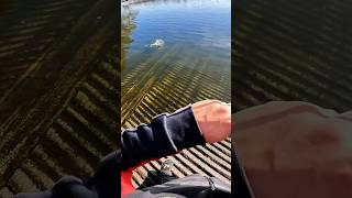 On the crank ??            catchandcook fishing trout nature catchandrelease explore