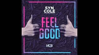 Syn Cole - Feel Good (Official Instrumental)