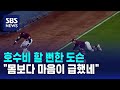 호수비 할 뻔한 도슨…&quot;몸보다 마음이 급했네&quot; / SBS