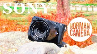 Sony a6500 After two years | Norman Camera