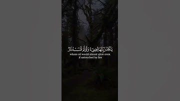 تلاوة عطرة من سورة النور بصوت القارئ ماهر المعيقلي #quran #قرآن #تلاوة_خاشعة #اذكروا_الله_يذكركم #غز