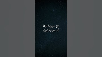 * سورة فصلت* القارئ : ناصر القُطامي  * Surah fussilat* Reader : Nasser Al-Qatami