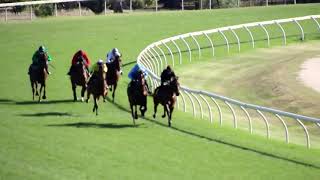 Horsham Mar6 19 Trial 800M