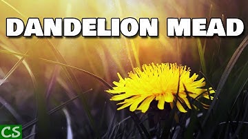 Easy Dandelion Mead Recipe at Home!
