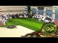 ليلة فيفاء | موسى الفيفي #البزنس45