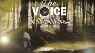 Hard Az Nailz - voice in the wilderness