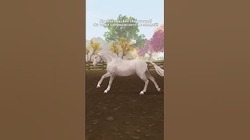 #horses #sso #starstable #horse