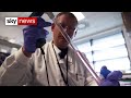 UK government 'betting on COVID-19 vaccines that may not ...