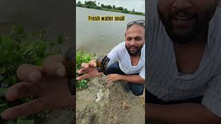 Methay Pani ka Snail or Water Lilies