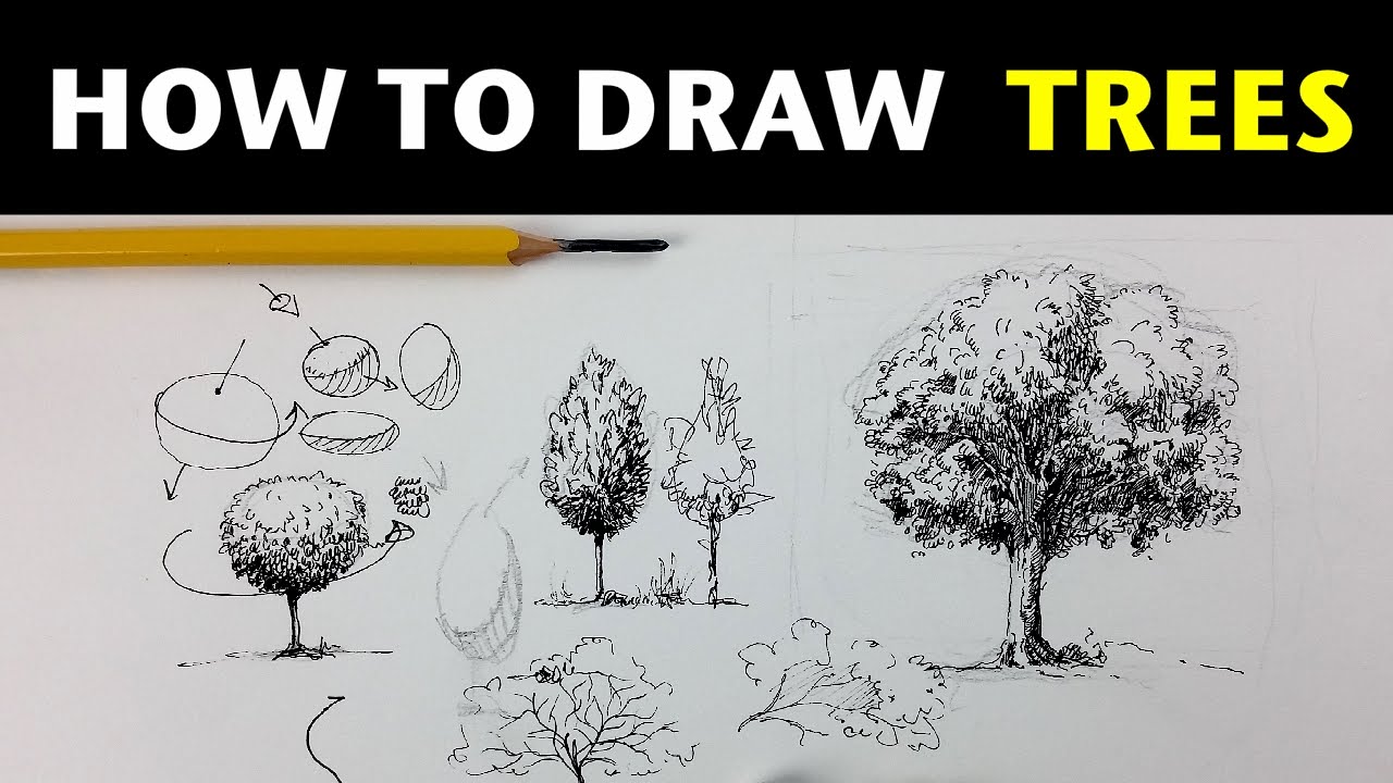 How to Draw Trees with Pen & Ink - YouTube