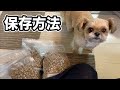 【犬 ご飯】ドッグフードの保存方法 チワワ×シーズー