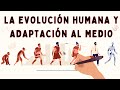 🥇 Evolución humana y adaptación al medio en las Edades de la Historia ⌛ LINEA DEL TIEMPO  ⌛