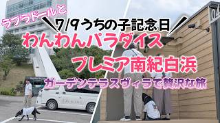 【わんわんパラダイス プレミア 南紀白浜 ガーデンテラスヴィラ 】和歌山県のお宿で9回目のうちの子記念日のお祝いしました!白浜観光も堪能!