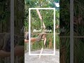 Bamboo weapon ⚡ #shorts #viral # viralvideo #shortfeeds #idea #weapon # bamboo