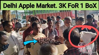 Apple 🍎 Harvesting & Packing at MEBAR Village Kinnaur (H.P) 2021( Farm to market)