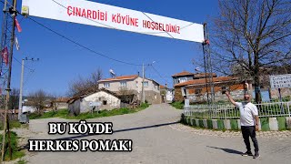 Tamamı Pomak Muhteşem Bir Köy ÇINARDİBİ