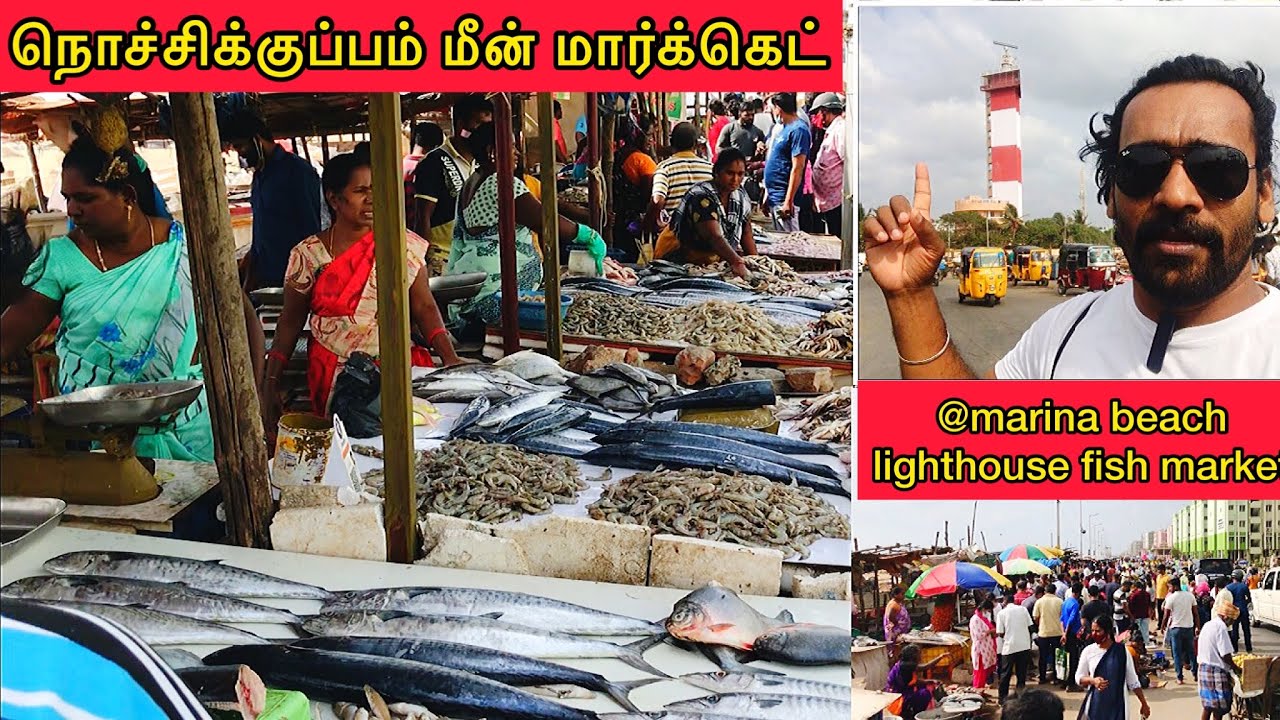 Marina Lighthouse fish market Nochikuppam fish market Chennai fish