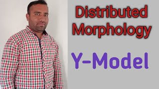 Distributed Morphology Y-Model ll Linguistics with Asad Ali