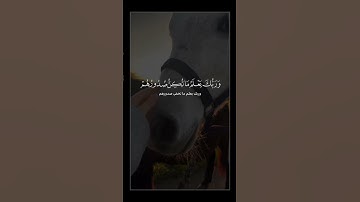 وربك يعلم ما تكن صدورهم وما يعلنون -🎧🤍 الشيخ حاتم فريد الواعر - سورة القصص