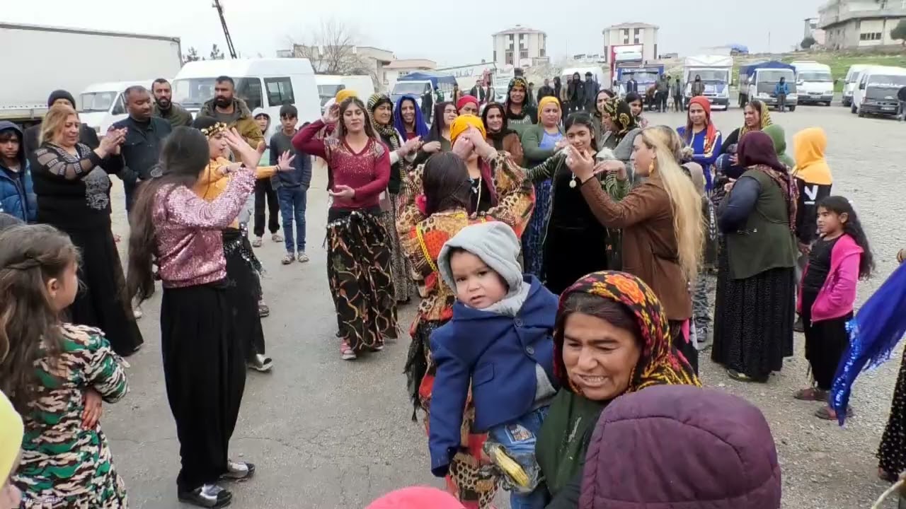 NİZİP ALİNİN OGLUNUN DÜGÜNÜ 5