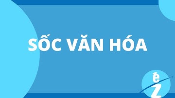 Làm Gì Để Vượt Qua Sốc Văn Hóa Ở Mỹ Khi Du Học