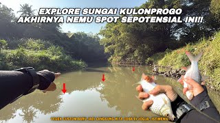 EXPLORING KULON PROGO SPOTS PAYS OFF!! Fishing for red-finned Javan barb using the float techniqu...