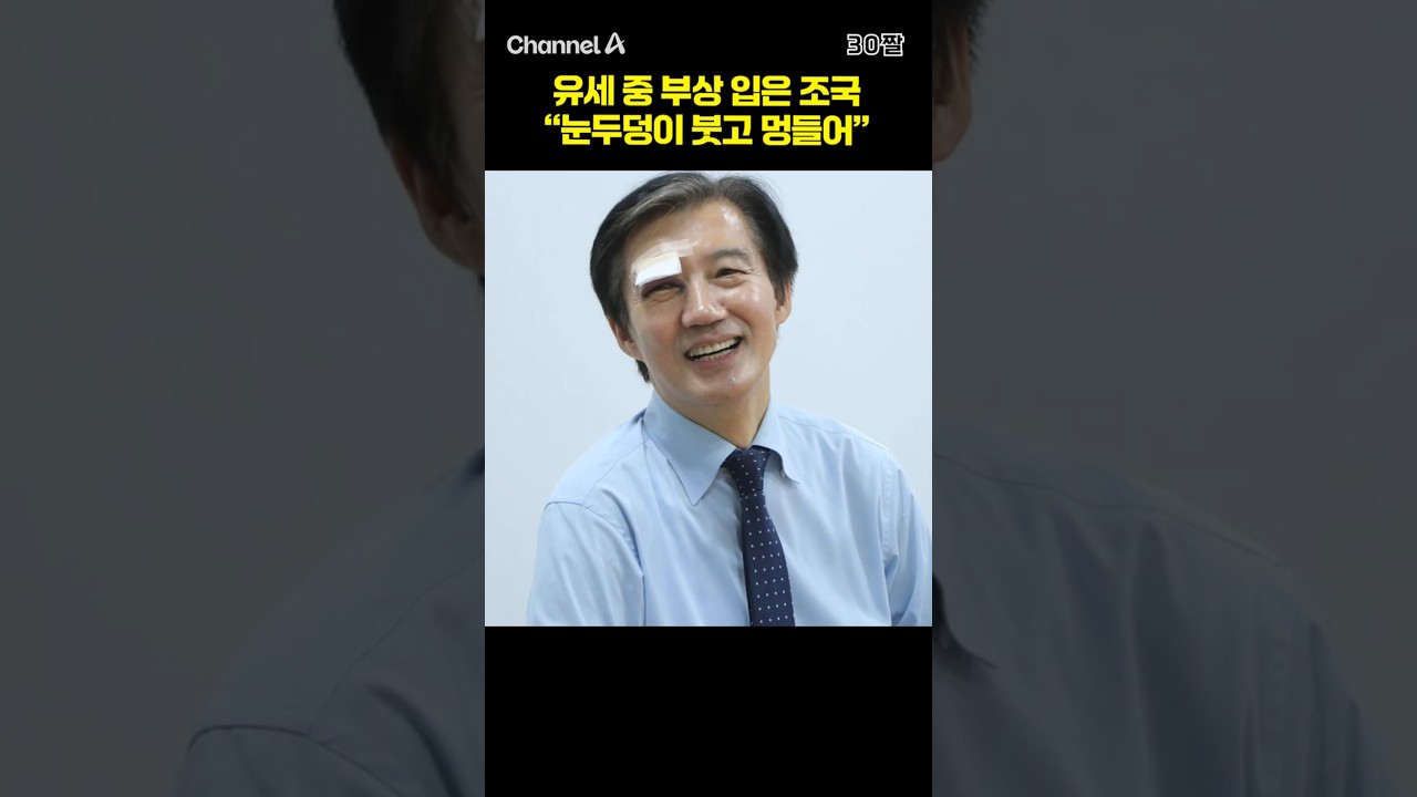 유세 중 부상 입은 조국 