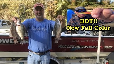 How to use 2D Sonar to find Crappie on any Creek/Tips on how to catch more crappie in the Fall 2023