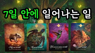 ⭐️타로✨️ 7일 안에 일어나는 일(12월30일~1월5일) 주간타로