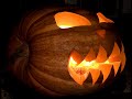 How to carve a 600 kg giant pumpkin and take a look inside