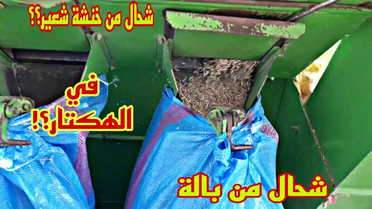 شحال ديال الشعير🌾🌾 و شحال من بالة التبن 🚜🚜عطانا في الهكتار هاذ العام 2023