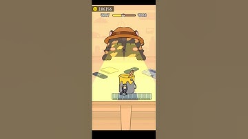 Hide And Seek : Cat 🐈 Escape Game | Level-9627 | Satisfying Gameplay #games #shorts #hideandseek