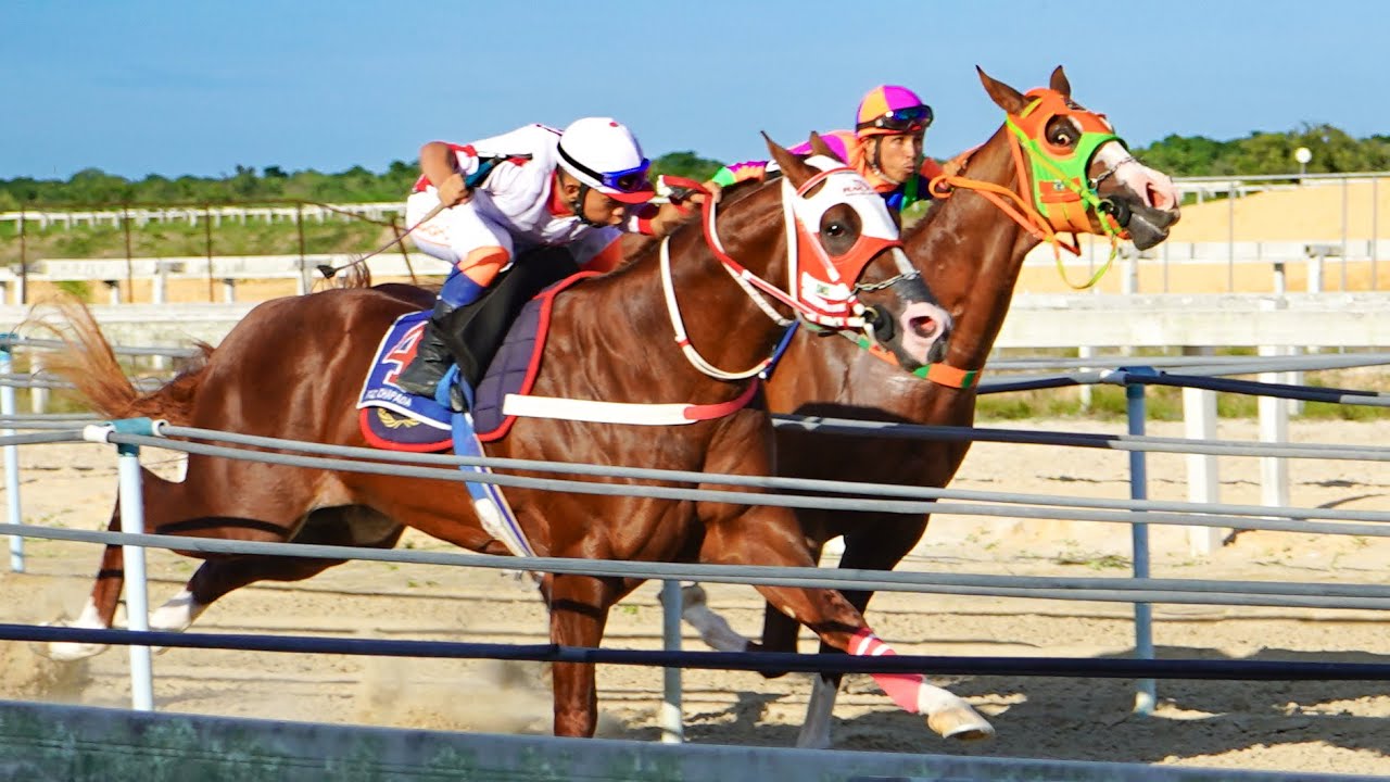 Especial: 9º GP HARAS IGUATU - completo: Classificatórias e a final