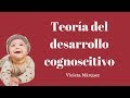 Etapas del desarrollo cognoscitivo de Piaget - Violeta Márquez