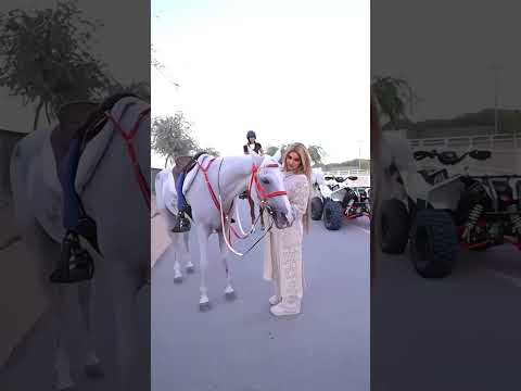 Why Did Sheikha Mehra Refuse The Dubai Seikh For Marriage Sheikhamahra Shortvideo