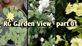 Reg Gardener - Garden view part - 01// Organic Garden //Kitchen Garden //Balcony Garden