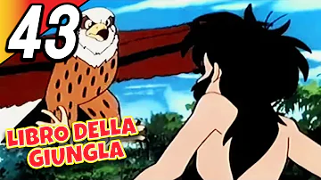 LIBRO DELLA GIUNGLA | Episodio 43 | Italiano | The Jungle Book
