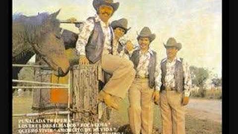 Puñalada Trapera