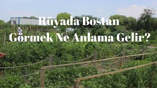 Rüyada Bostan Görmek Ne Anlama Gelir?