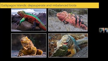 Genomic Social Hour #28: Adaptive Radiation on Island | California Academy of Sciences