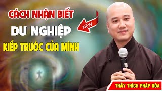 CÁCH NHẬN BIẾT DƯ NGHIỆP KIẾP TRƯỚC CỦA MÌNH  - PHÁP THOẠI THẦY THÍCH PHÁP HÒA