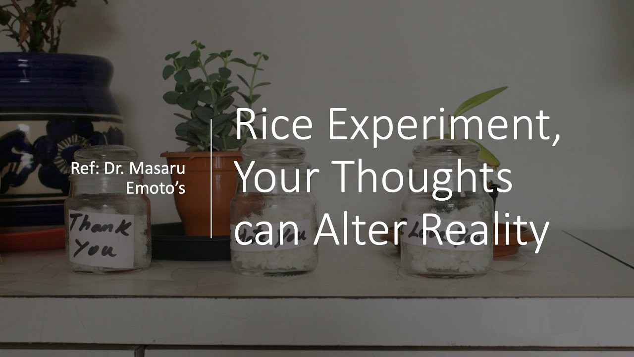 Rice Experiment  Your Thoughts can Alter Reality   Day 1