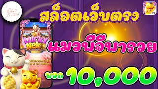 เว็บสล็อตเว็บตรง I เว็บตรง l เว็บตรงสล็อต l แมวพีจีพารวย บวก 10,000