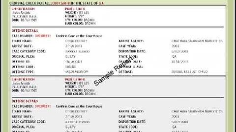 How to Do INSTANT Criminal Background Check Online