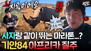 [극한84] 결국 갈 데까지(?) 간 기안..ㅋㅋㅋ 코뿔소와 자만추 가능한 아프리카 마라톤 첫 도전기ㅣ#기안84 MBC251130방송