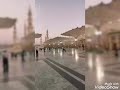 شوقي زاد انا جرحي غائر إلى متى لي طيبة سائر الشاعر حسن المهلاوي أداء مدثر عوض الجيد شوقي زاد انا جرحي غائر إلى متى لي طيبة سائر الشاعر حسن المهلاوي أداء مدثر عوض الجيد