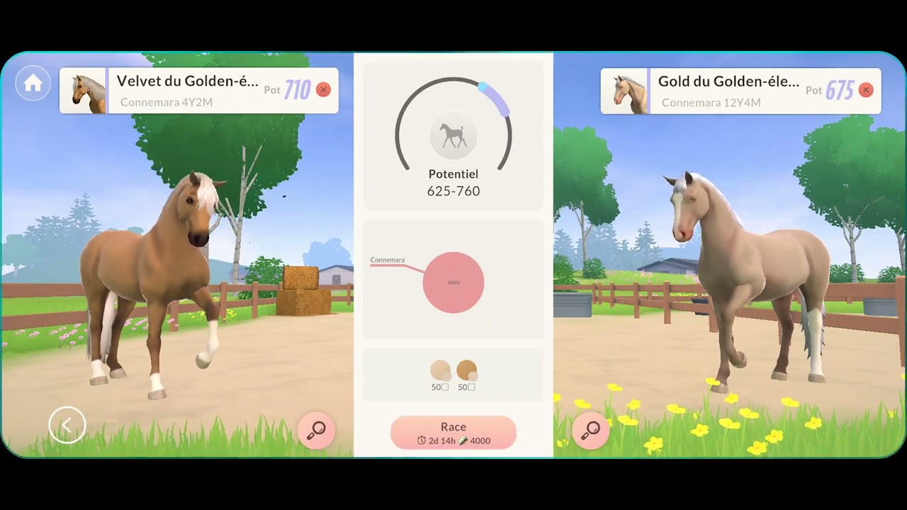 prenez une dp sur l'écurie d'une abo et nouveaux cheval