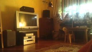 Walkera V400D02 first hovering