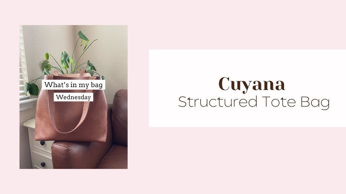 Cuyana Tall Structured Zipper Tote Review - by Kelsey Boyanzhu